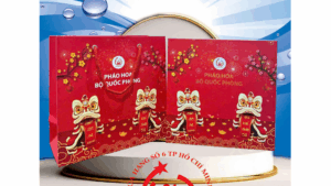 Hộp Pháo100 Viên